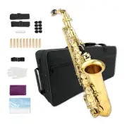 Yinfente Eb flat Alto Saxophone Kit with 10 Reeds ,8 Pads Cushions,For Beginner