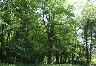 東邊小屋旅館