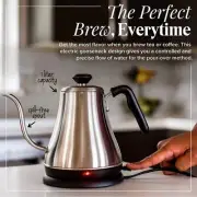Electric Gooseneck Kettle - 1L, 120 Volt, Stainless Steel for coffee tea