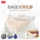 3M 天然乳膠防蹣枕-標準透氣型(附防蹣枕套)