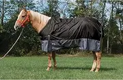 Weaver Leather Premium Turnout Horse Blanket - Polyester Fiber Fill, 600-denier, Black, 72",