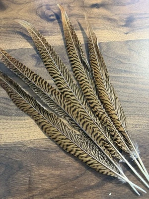 5pcs Natural Real Pheasant Feathers 27-30cm DIY Craft Millinery Smudge Fan