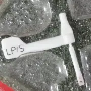 NOS TAE Sapphire Needle Stylus for VARCO VACO CN-60 62 65 67 68 70 72 75