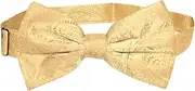 [Vesuvio Napoli] BOWTIE Gold Color Paisley Color Men's Bow Tie for Tuxedo or Suit, Gold