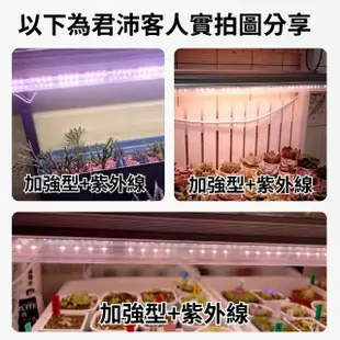 【JIUNPEY 君沛】3入組 T8 4呎 25W紫外線UV加強型植物燈管(植物生長燈)