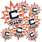 Desert Cactus Connecticut Sun Sticker WNBA Women's National Basketball Association Officially Licensed Vinyl Decal Laptop Water Bottle Car Scrapbook (Type 3-1)