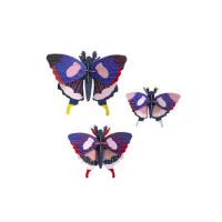 在飛比找蝦皮商城優惠-《齊洛瓦鄉村風雜貨》荷蘭studioroof 動物系列 蝴蝶