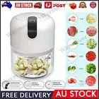 Mini Electric Garlic Food Chopper Veg Chopper Grinder Blender Crusher Tool 250ML