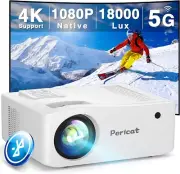 Projector with WiFi and Bluetooth,Native1080POutdoor Movie Projector with bundle