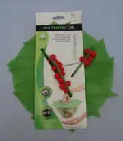 CHARLES VIANCIN Silicone Round Lid ~ 9" WINTERBERRY - Red Green LID New