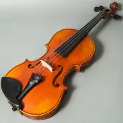 Professional Hand-made 4/4 Full Size Acoustic Violin Fiddle Ebony Fitting