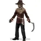 CK585 Wicked Scarecrow Boys Halloween Scary Horror Wizard of OZ Fancy Costume