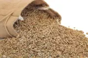 Ryman Rye Grain 5lb for Home Brew Beer Making Chem Free Quality !