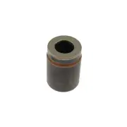 Disc Brake Caliper Piston Carlson 7851