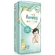 幫寶適 Pampers 2023新升級 一級幫紙尿褲 M 52片x4包 (箱購)【甜蜜家族】