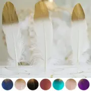 30 pcs Metallic Gold Tip Natural Goose Feathers Wedding Party DIY Decorations