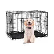 Royale Collapsible Dog Crate - Small 24 Inch