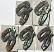 5 Letters of Lowercase Q in Paua Abalone 10.9mm x 14.7mm x 1.5mm thickness