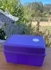 TUPPERWARE FREEZERMATE FREEZER CONTAINER MEDIUM 2 WITH DEEP LID - DARK PURPLE