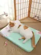 清爽貓窩夏季涼墊四季通用 貓咪床可拆洗 沙發寵物床 (4.5折)