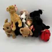 Ty Beanie Baby Babies Dog Puppy Gigi Rover Luke Scotty Tiny Tuffy Lot Of 8