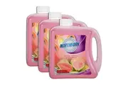 3PK Northfork 2L Liquid Hand Wash Care Gentle Hand Soap Guava Papaya & Cucumber