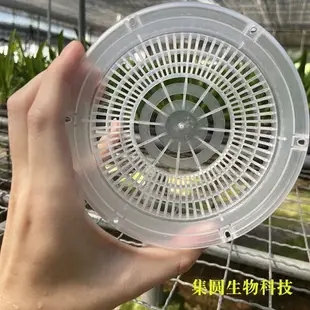 花盆 蘭專用控根花盆鐵皮石斛地面盆新款綠植盆桌面花卉透氣盆