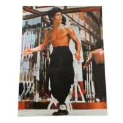 Martial Artist Scratched 15" x 20" Poster FREE Ship USA #9852