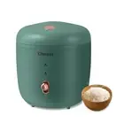 Mini Rice Cooker 2 Cups Uncooked, 1.2L Rice Cooker Small with Non-stick Pot, ...