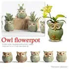 1pc Mini Ceramic Plant Pot Owl Succulent Flower Planter Bonsai Box Home Garden