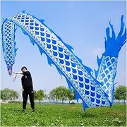 Outdoor Porcelain Style Dragon Silk-Like Flowy Spinning & Shaking Poi Blue White Outdoor Flinging Fitness Kung Fu Dragon Dance Ribbon Streamer - Friends/Parents Gifts Wu Long