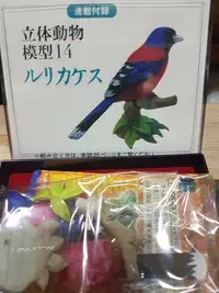 在飛比找Yahoo!奇摩拍賣優惠-(模型) 立 体 動 物 / 1 4 - 七色鳥 (琉璃鳥)