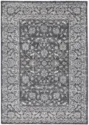 Neptune Dorian Transitional Grey Rug