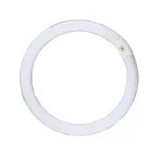 32w Fluorescent T9 Globe Warm White 3000k, Natural White 4000k, Cool White 4000k, Daylight 6500k CLAFCL32W