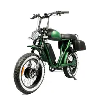 在飛比找蝦皮購物優惠-復古系列盤式製動器適用於電動老式自行車 2 輪舒適鞍座自行車