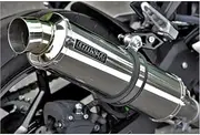 Beams Motor Company NINJA250 8BK-EX250Y G433-53-P3J R-EVO Slip-On Stainless Steel Silencer