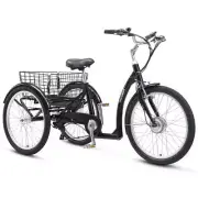 NNEDSZ Progear Bikes E-Free 24" E-Trike