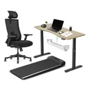 Lifespan Fitness WalkingPad M2 + ErgoDesk 1500mm Oak + Cable Management + DM9