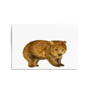Australian Wombat Painting Animal Wall Art