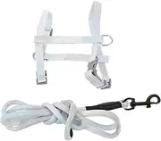 BESPORTBLE Adjustable Cat Harness Vest with Bowtie Leash Set Comfortable Breathable Kitten Walking Gear for Daily Use for Pets