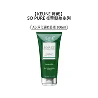 在飛比找樂天市場購物網優惠-頭皮養護 KEUNE 肯葳 SO PURE A6 淨化頭皮舒