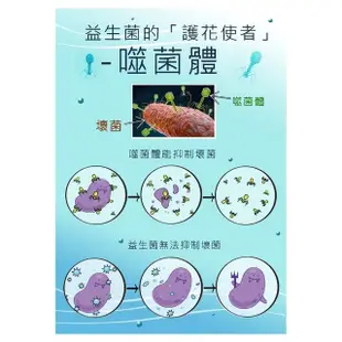 【太田森一】BPhage噬菌體益生菌(20包/盒-添加乳酸菌.鳳梨酵素)