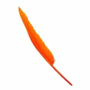 Goose Flight Wing Feather x 5 pcs - Orange