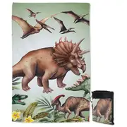 Dinosaurs Quick Dry Beach Towel