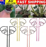 Monstera Shaped Plant Stand, Cute Leaf Shaped Plant Cages and Supports Stakes AN