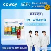 在飛比找PChome24h購物優惠-Coway 奈米高效濾芯組【8吋一年份】(適用P-250N/