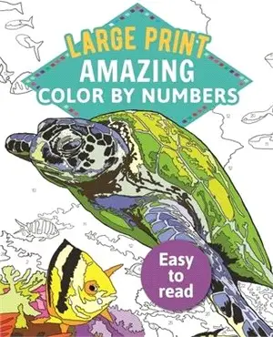 Amazing Color-by-numbers Large Print