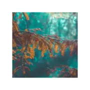 BLUE CYPRESS & JASMINE Fragrance Oil for making Candles, Soaps, Wax Melts etc.