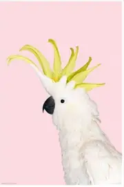 White Cockatoo On Pink-Mug
