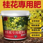 桂花專用肥料 綠植 花卉 盆栽 通用 有機肥 顆粒緩釋肥 金桂 四季桂 花肥開花肥 肥料 有機肥